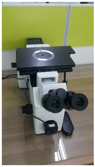광학현미경(Optical Microscope)